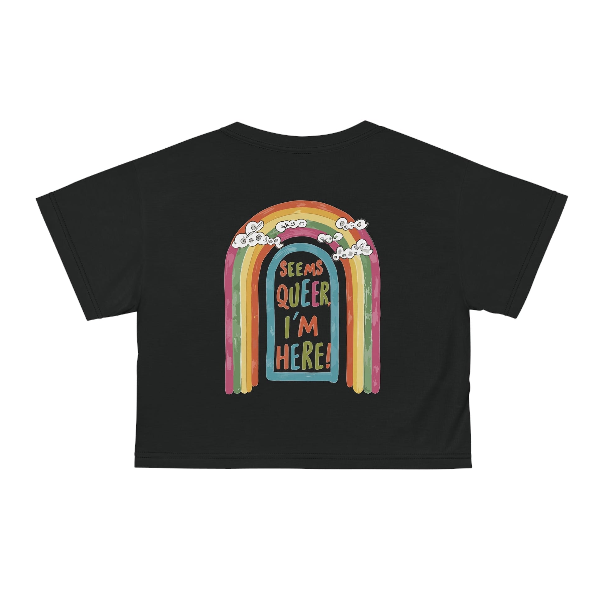 Seems Queer, I'm Here! - Crop Top - All Over Prints - The Lucky Wombat